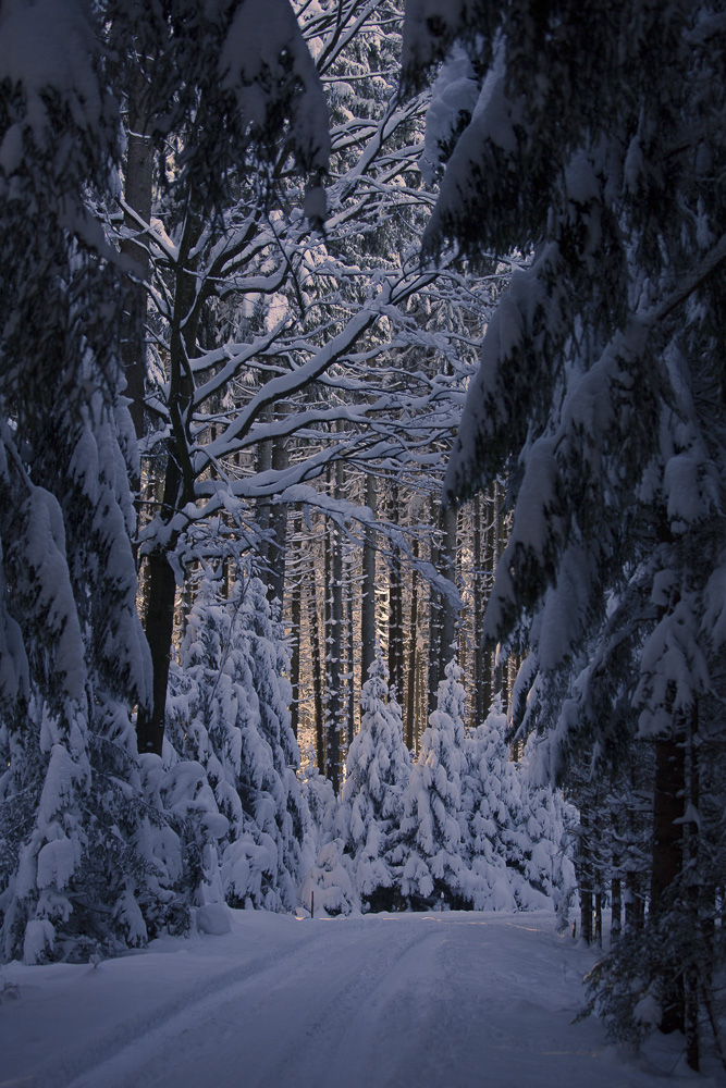 12. Platz Uwe Krause